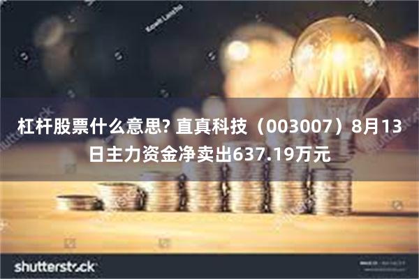 杠杆股票什么意思? 直真科技（003007）8月13日主力资金净卖出637.19万元