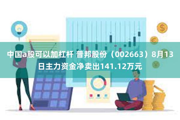 中国a股可以加杠杆 普邦股份（002663）8月13日主力资金净卖出141.12万元