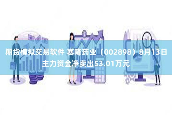 期货模拟交易软件 赛隆药业（002898）8月13日主力资金净卖出53.01万元