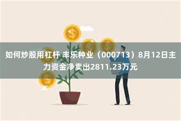 如何炒股用杠杆 丰乐种业（000713）8月12日主力资金净卖出2811.23万元