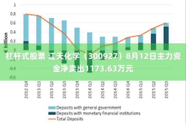 杠杆式股票 江天化学（300927）8月12日主力资金净卖出1173.63万元