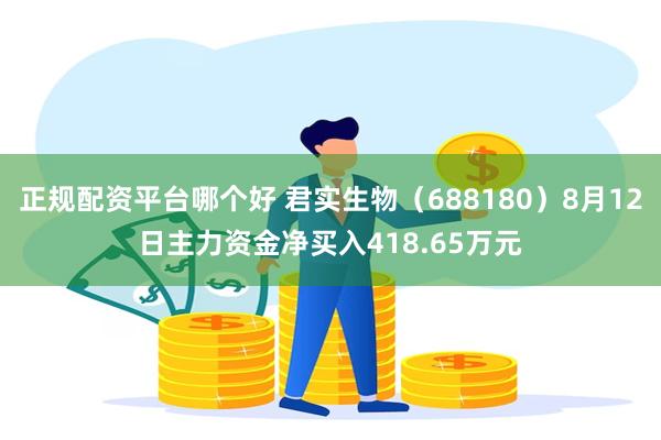 正规配资平台哪个好 君实生物（688180）8月12日主力资金净买入418.65万元