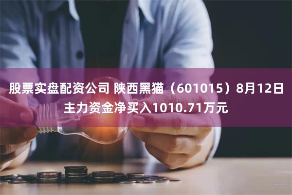 股票实盘配资公司 陕西黑猫（601015）8月12日主力资金净买入1010.71万元