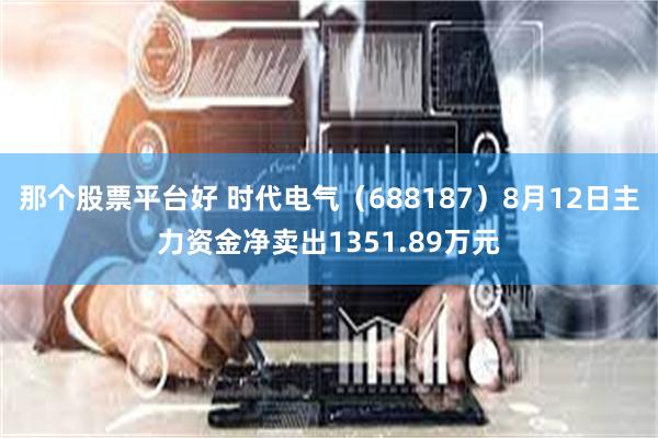 那个股票平台好 时代电气（688187）8月12日主力资金净卖出1351.89万元