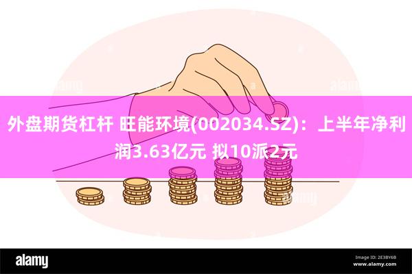 外盘期货杠杆 旺能环境(002034.SZ)：上半年净利润3.63亿元 拟10派2元