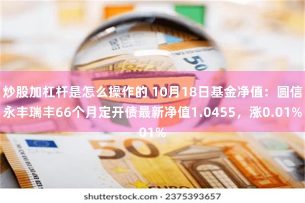 炒股加杠杆是怎么操作的 10月18日基金净值：圆信永丰瑞丰66个月定开债最新净值1.0455，涨0.01%