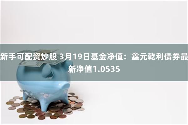 新手可配资炒股 3月19日基金净值：鑫元乾利债券最新净值1.0535